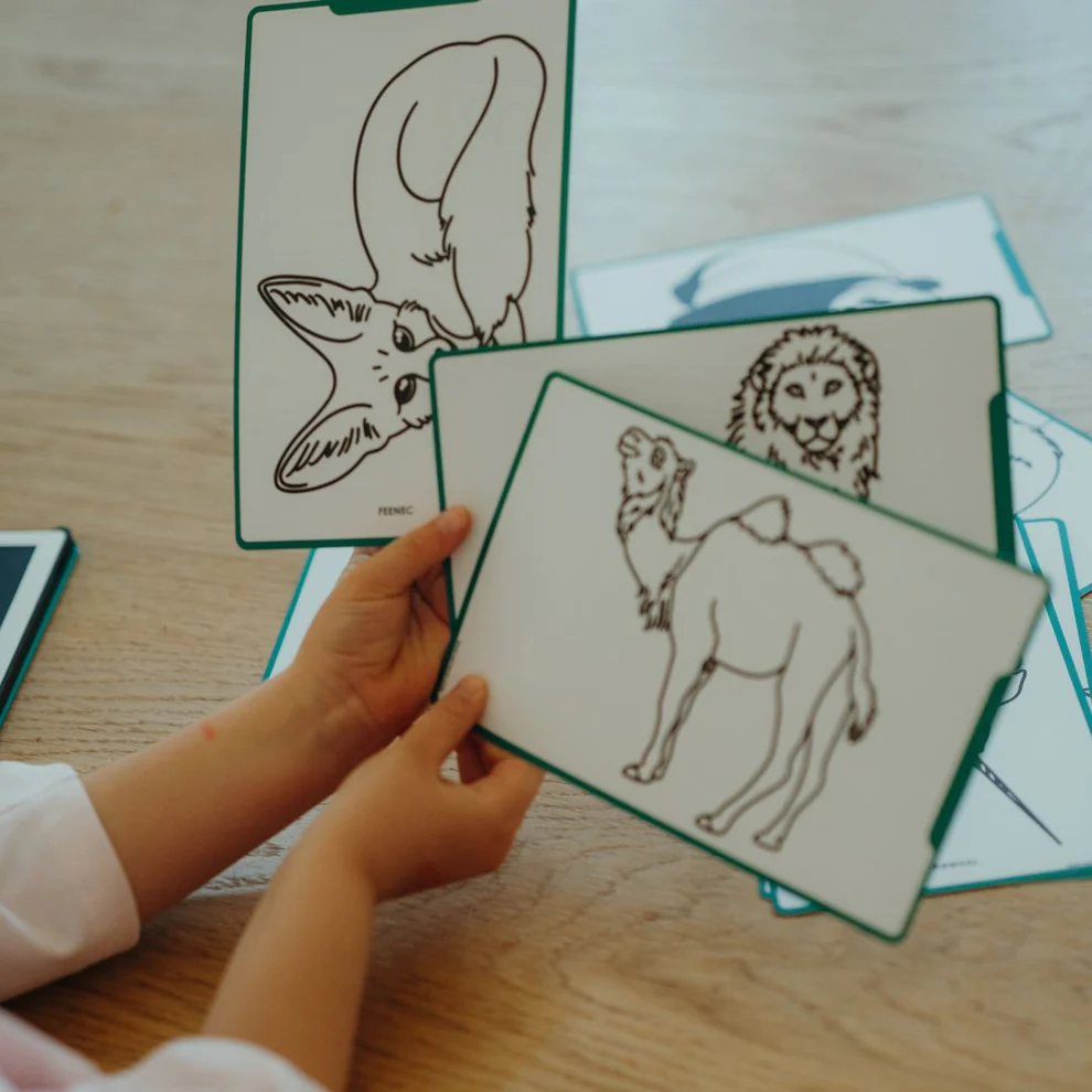 Kidydraw mini jungle animals