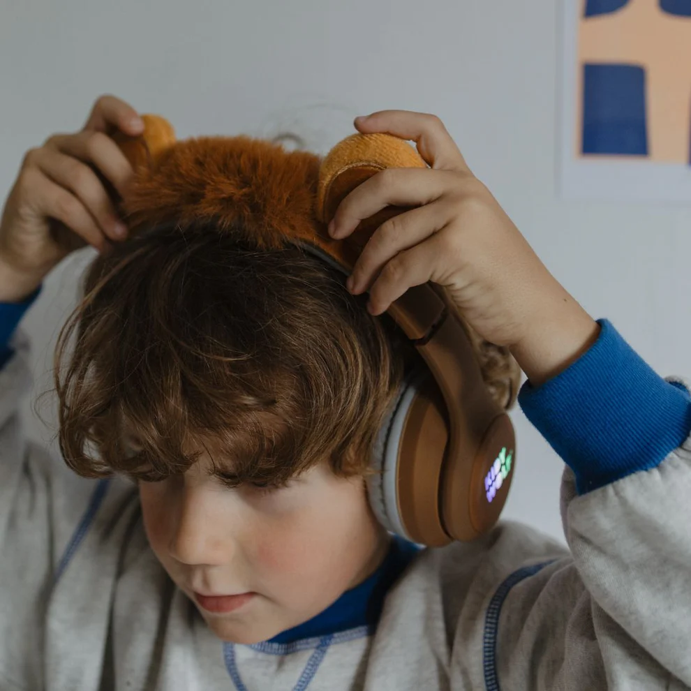 Kidyears lion