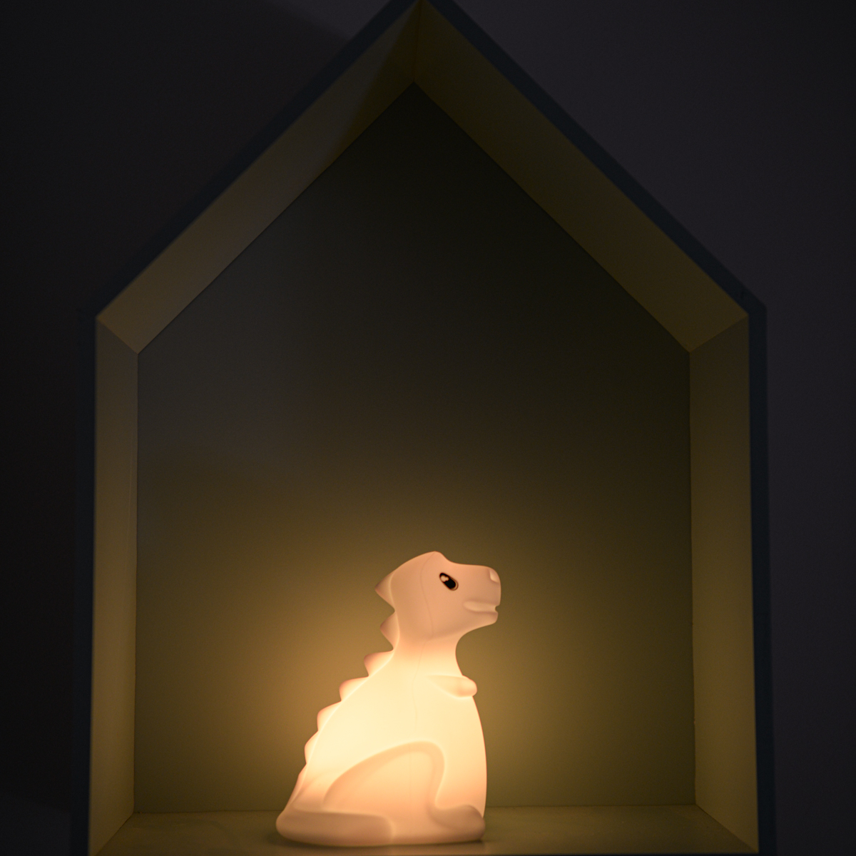 Kidynight dino