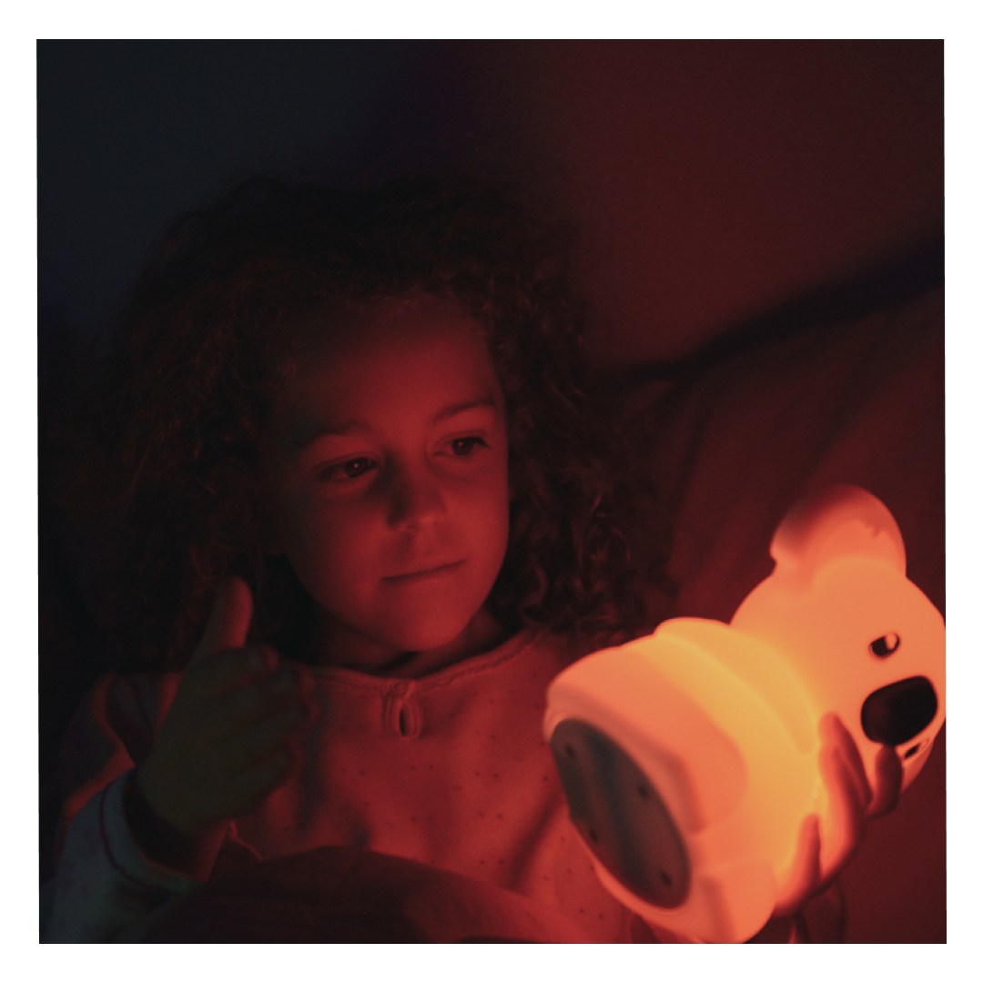Kidynight koala