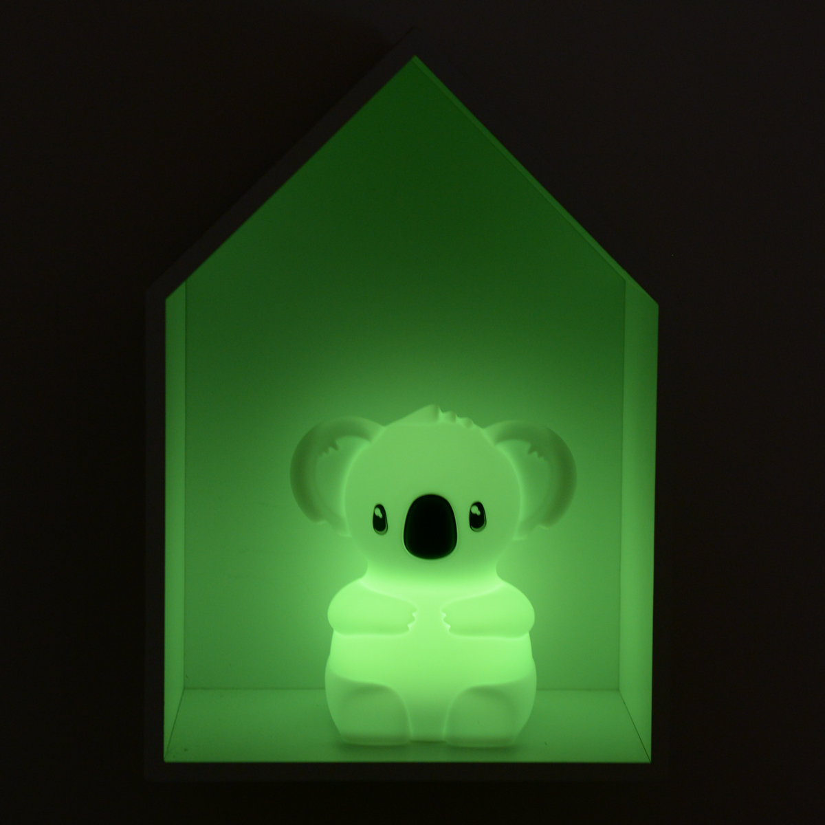 Kidynight koala