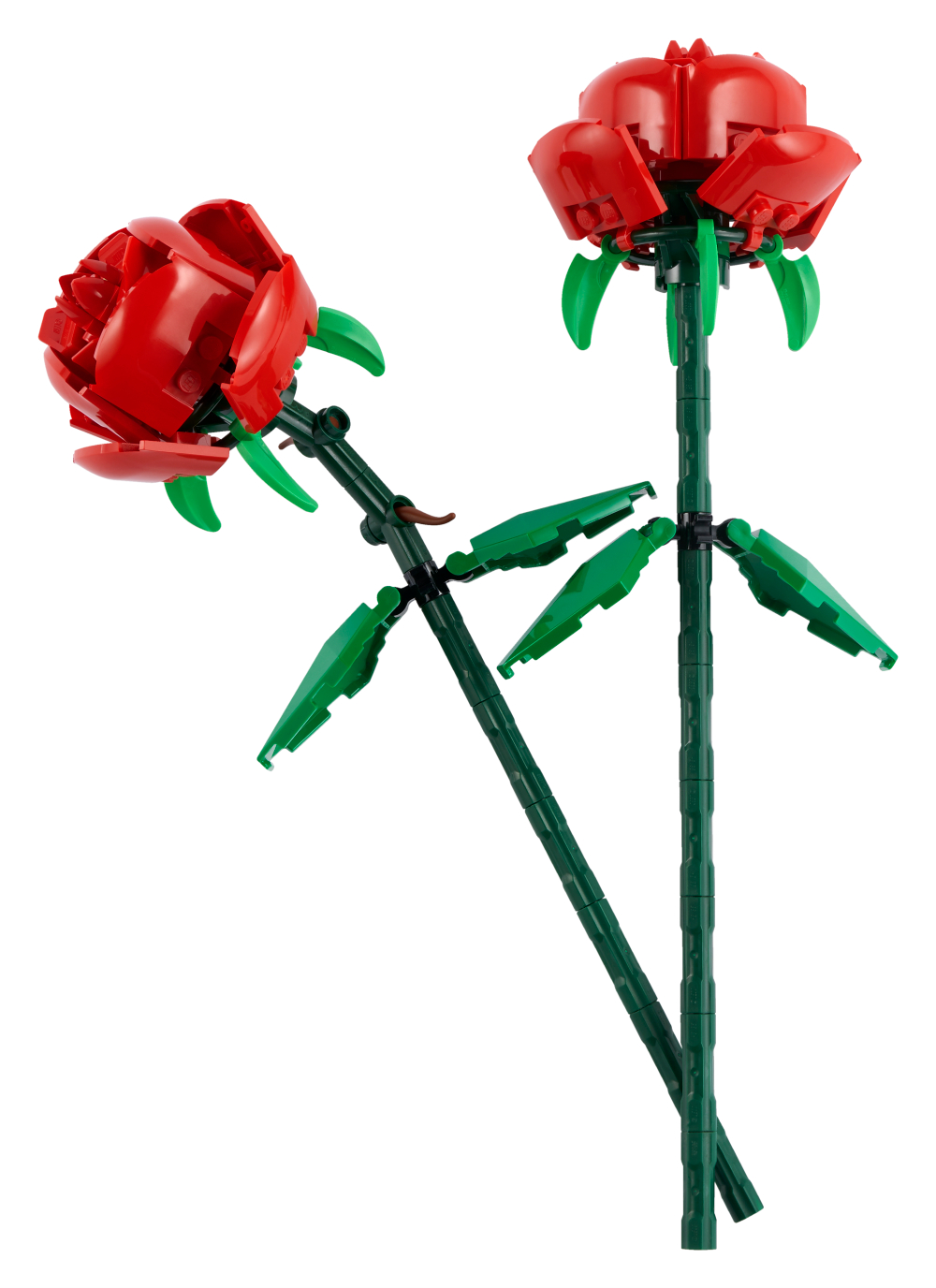 6392367 - Roser