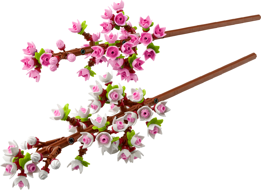 6473111 - Kirsebærblomster