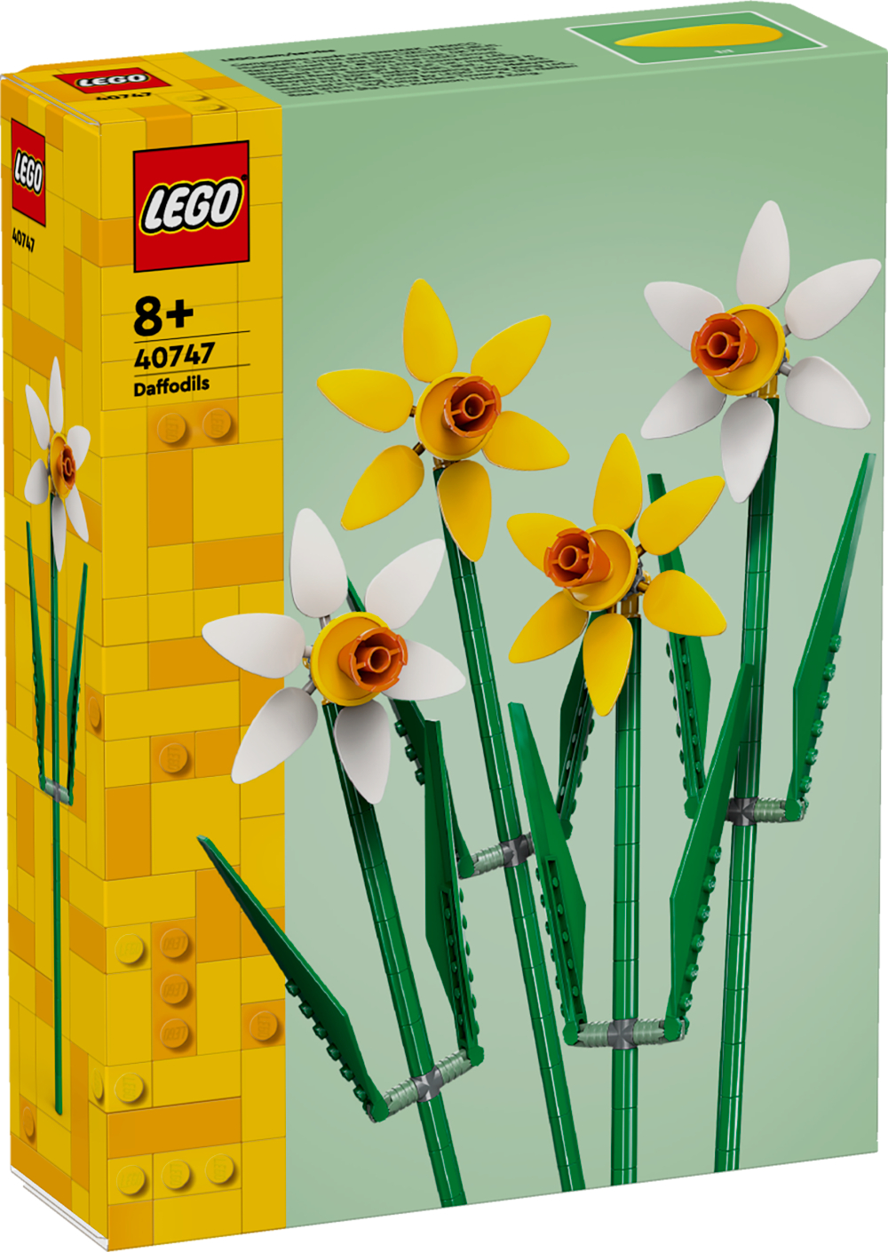 6476650 - Påskeliljer