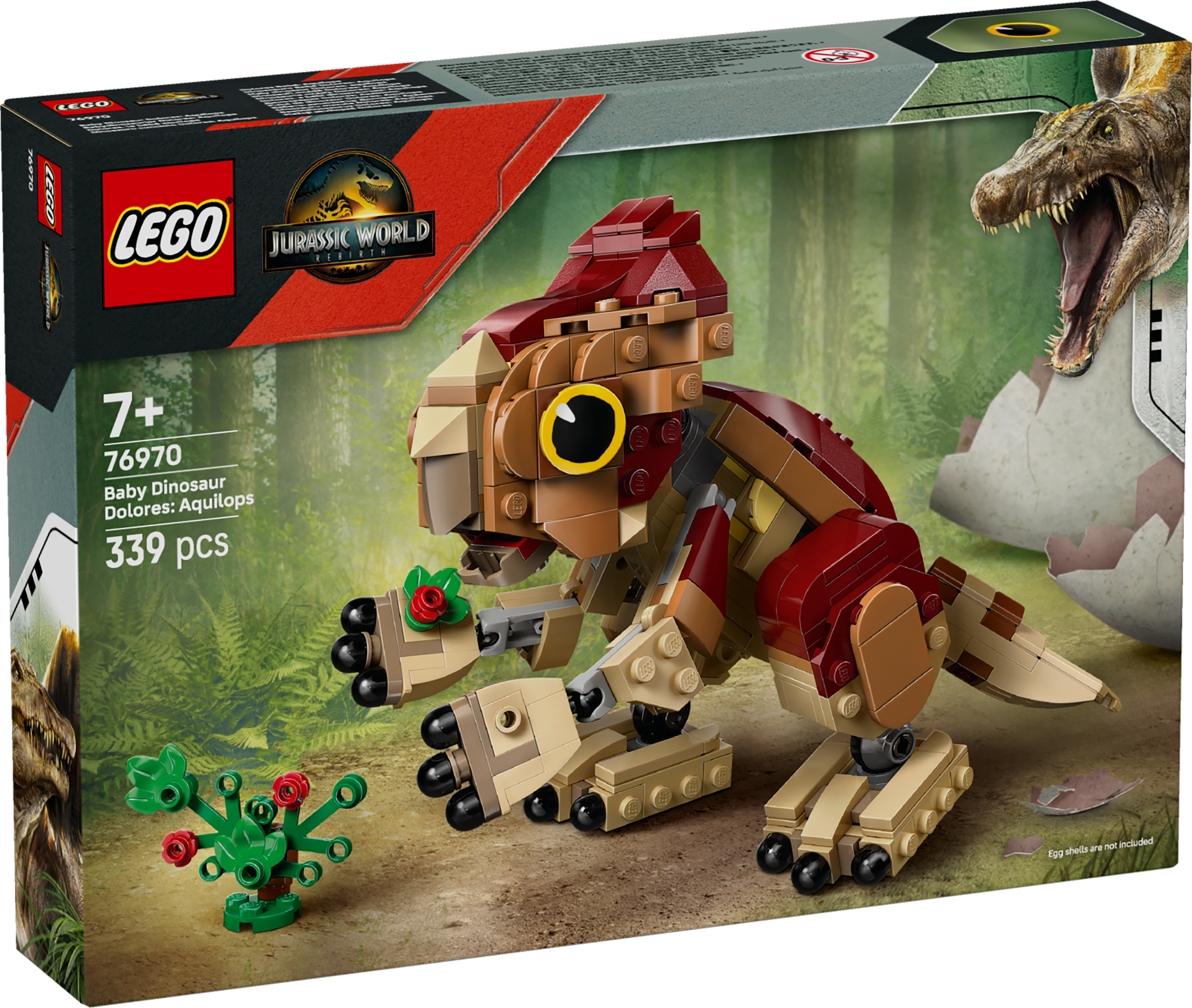 6526380 - Dinosaurungen Dolores: aquilops