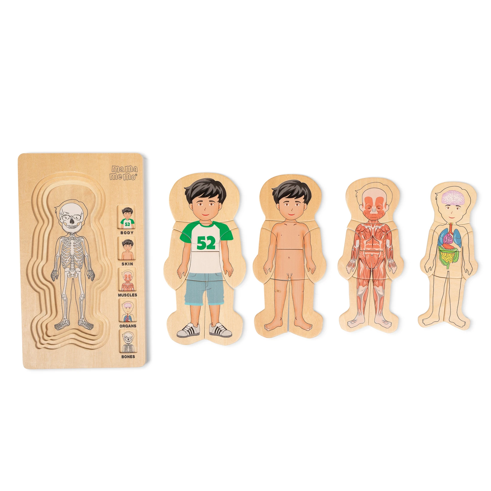 My Body. Puzzle. Boy