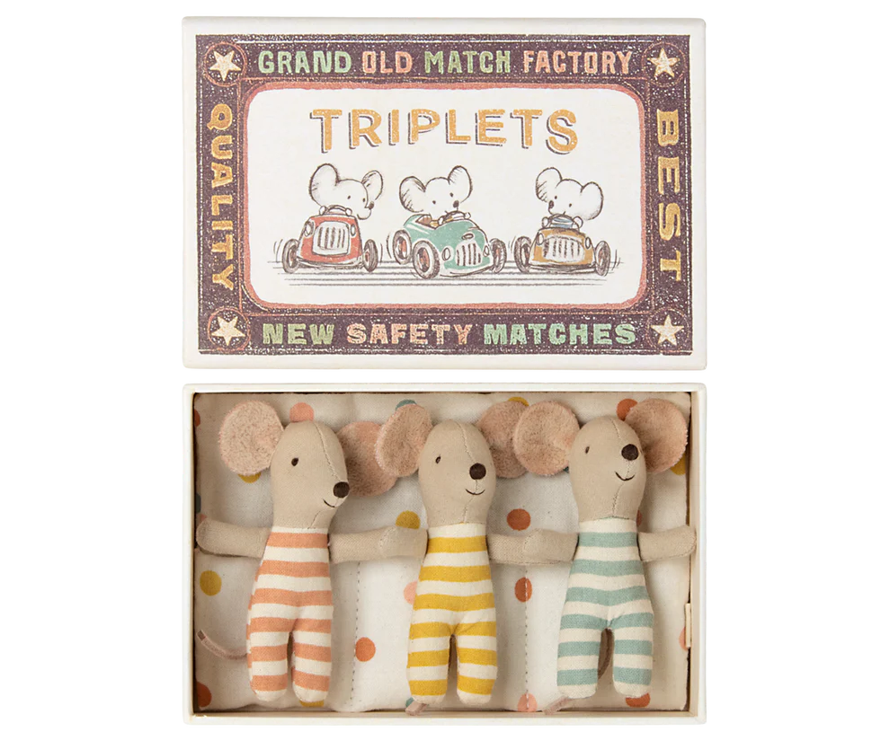 Triplets. Baby mice in matchbox