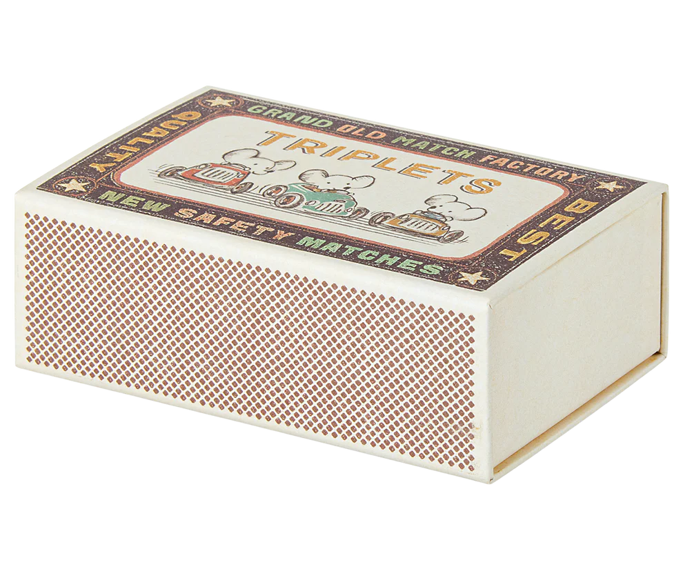 Triplets. Baby mice in matchbox