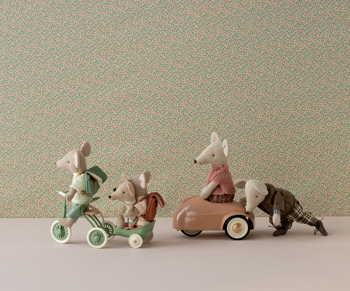 Abri à tricycle. Mouse  - Green