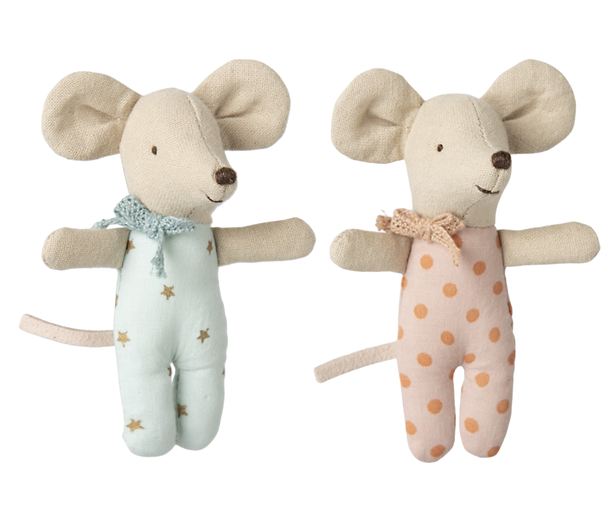 Twins, baby mice in matchbox