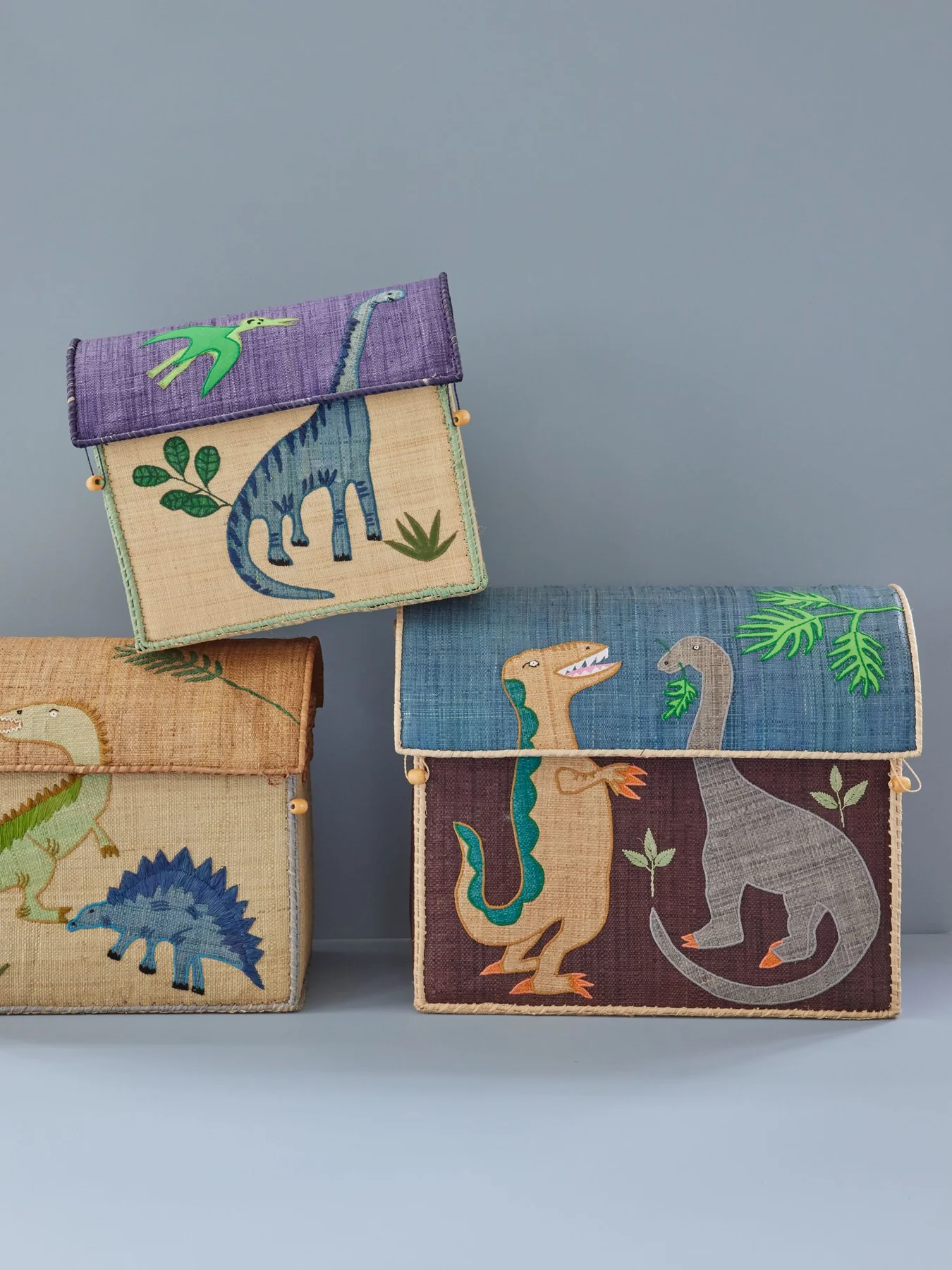 Raffia Toy Baskets with Dino - Small