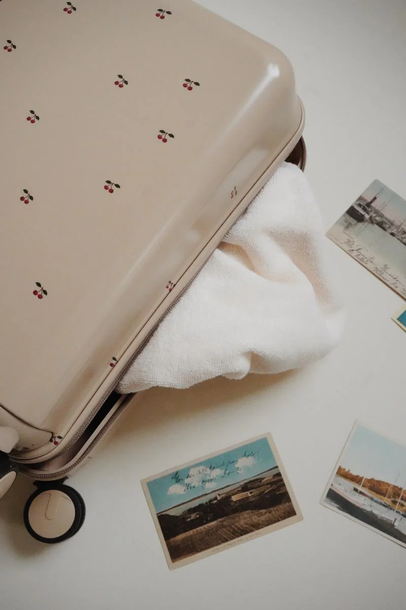 TRAVEL SUITCASE CHERRY noos