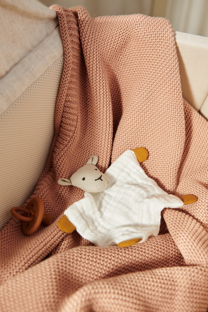 Amaya Cuddle Teddy Creme de la creme - AW23