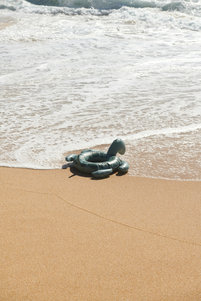 Phoebe Turtle Swim Ring
