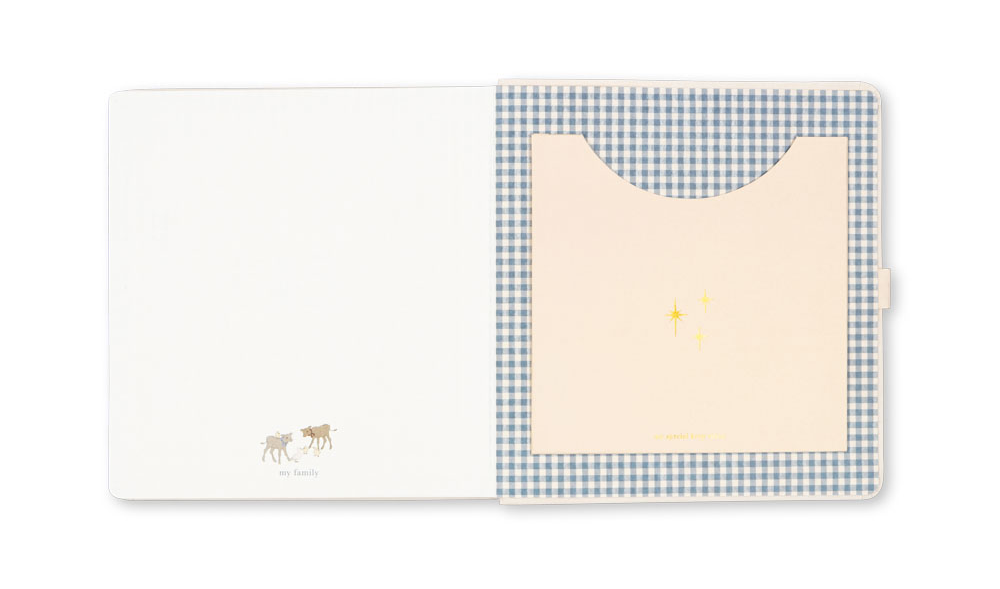 THE BOOK OF YOU FSC TEDDY BEAR - AW25