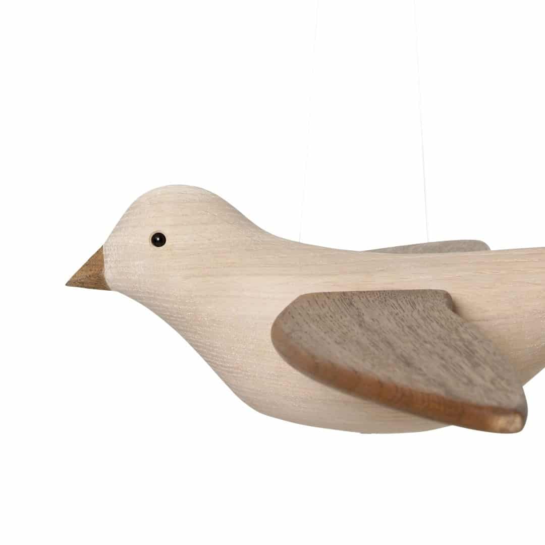 Flying koko oak dark vings