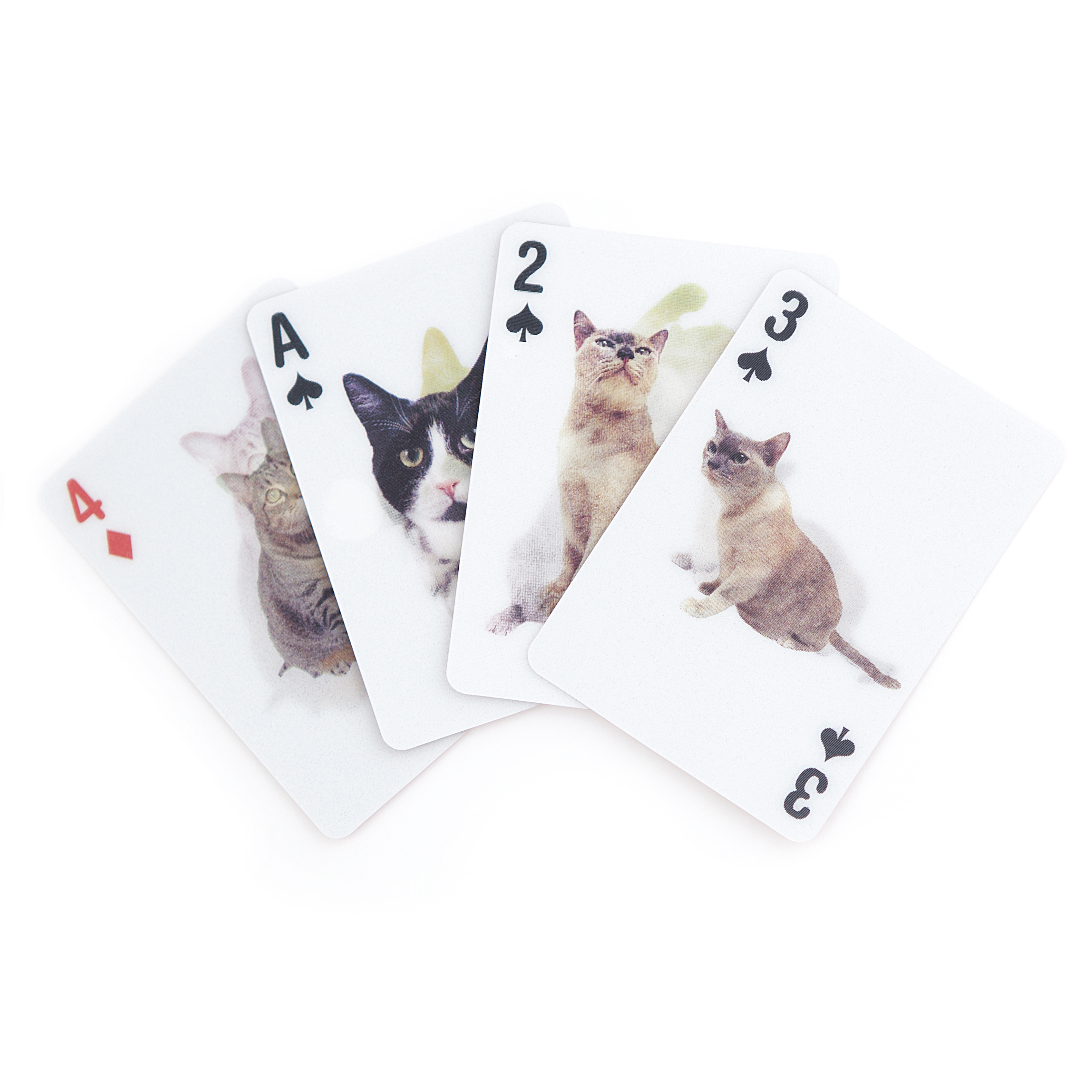 CATS 3D PLAYING CARDS