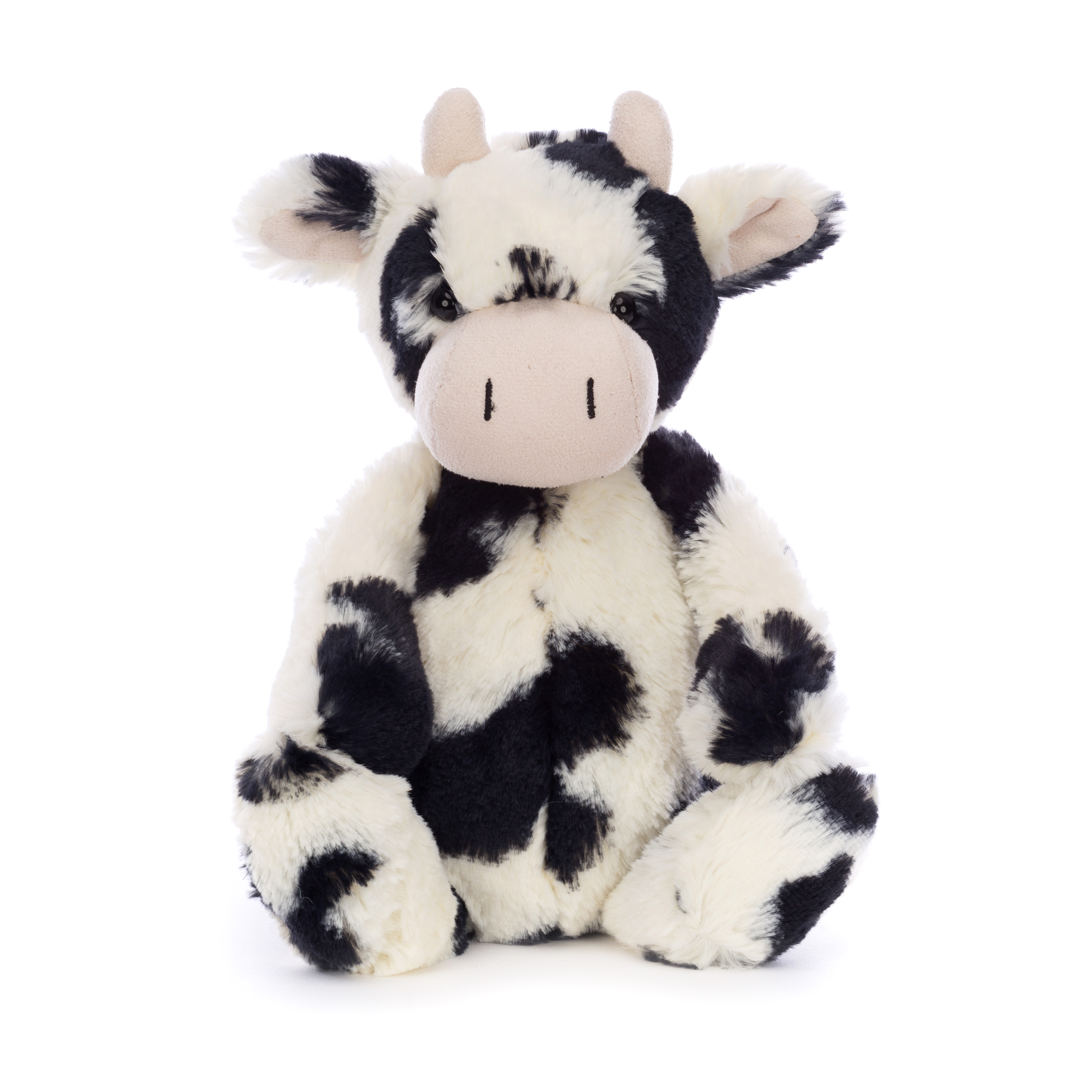 Bashful Calf