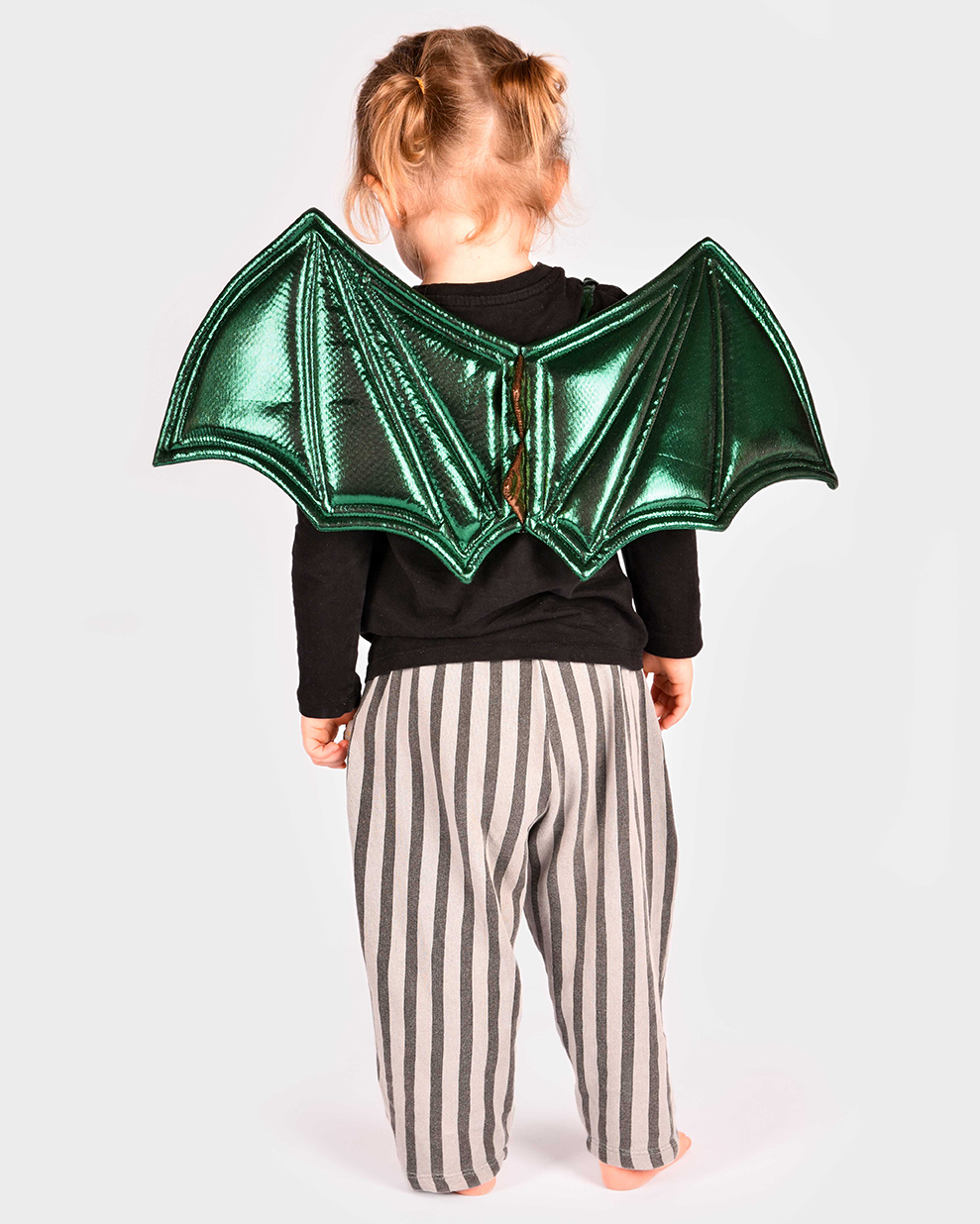 WINGS DRAGON SOFT