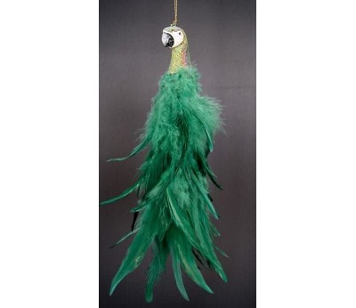 Macaw orn green with feather bod