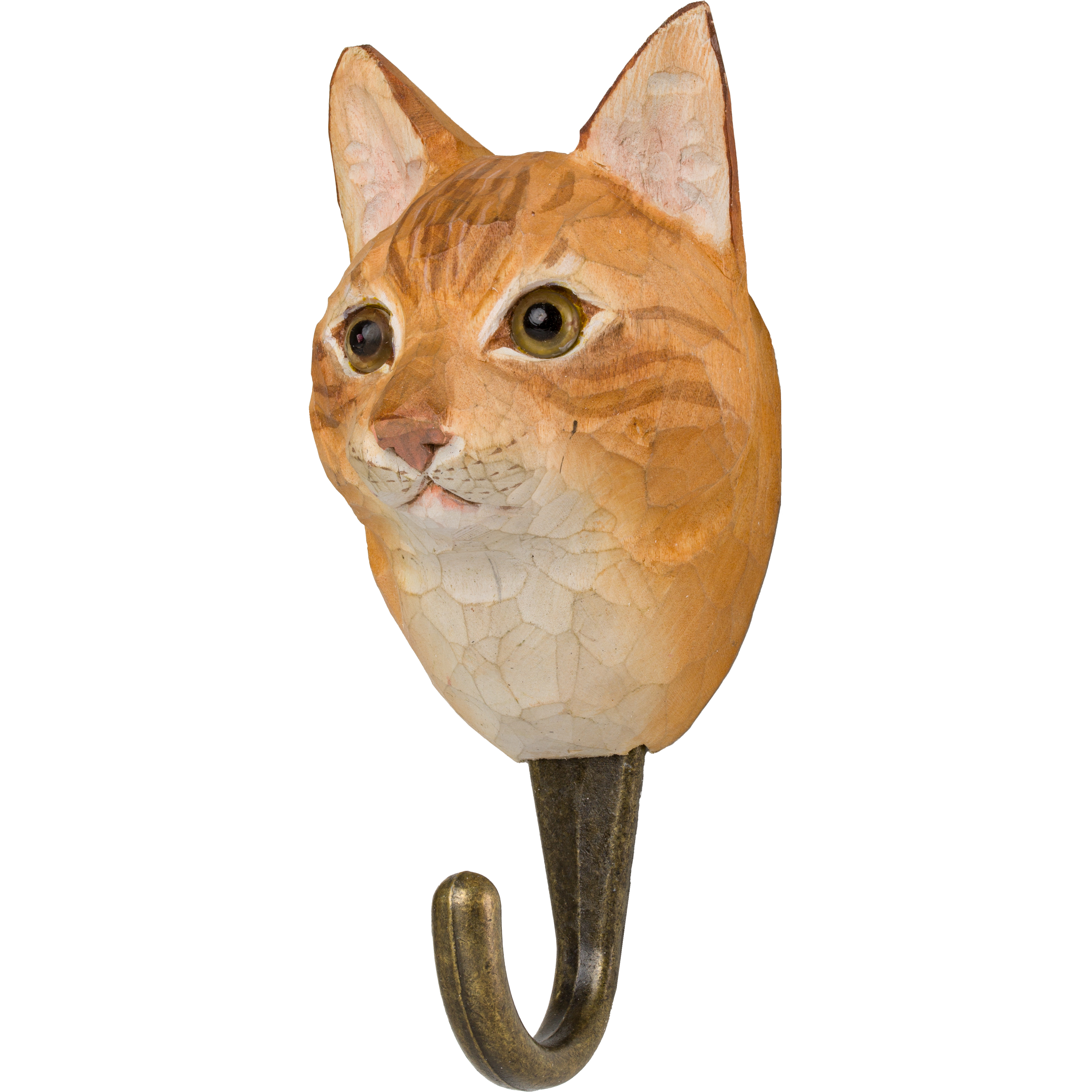 Hook, Cat