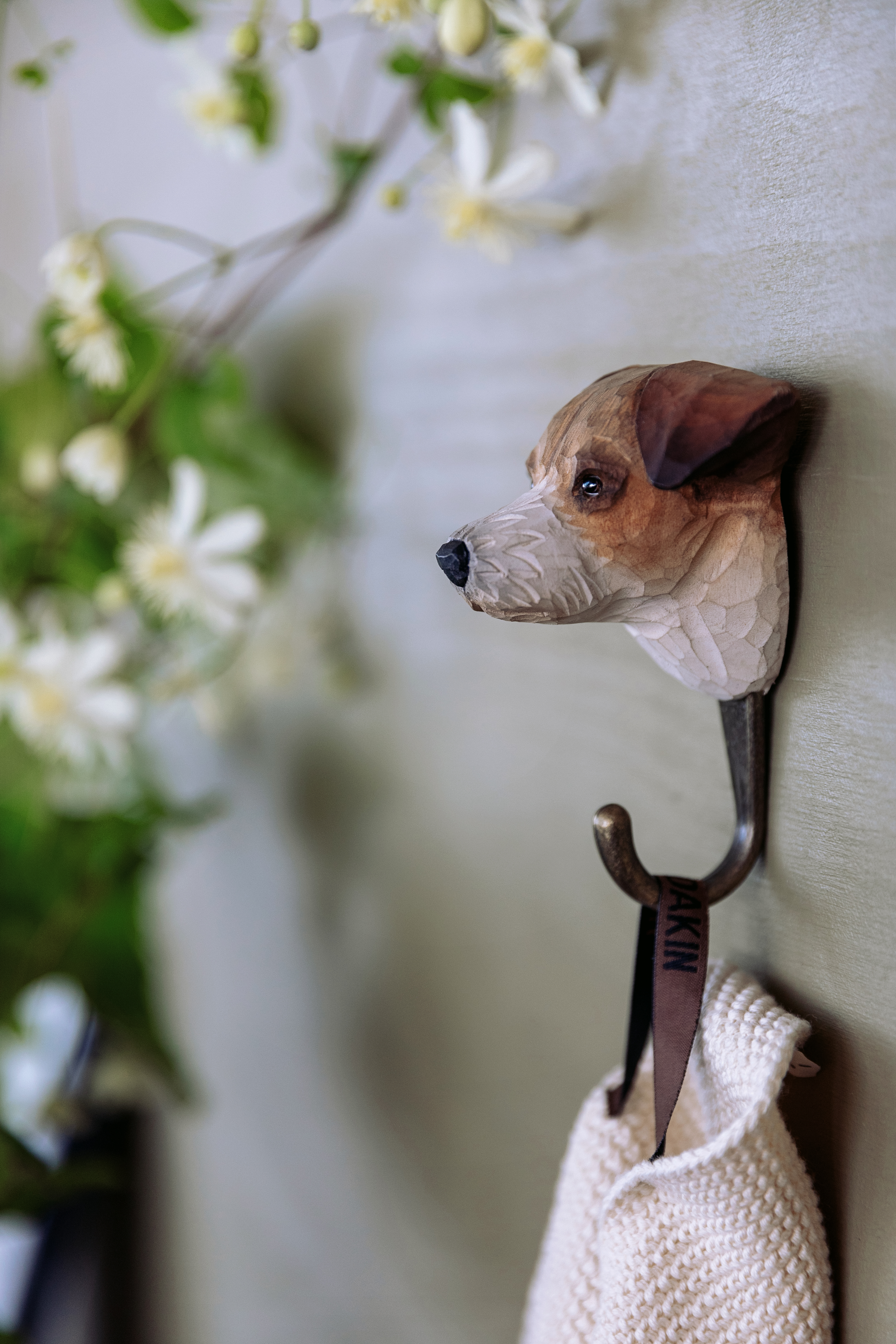 Krok Jack Russell Terrier