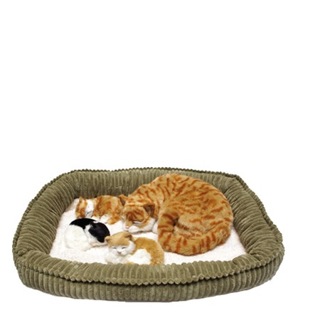 Kattmamma +kattungar och bädd