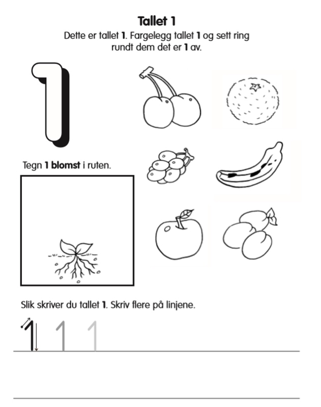 Aktivitetsbok - LEK OG LÆR TALL OG TELLING