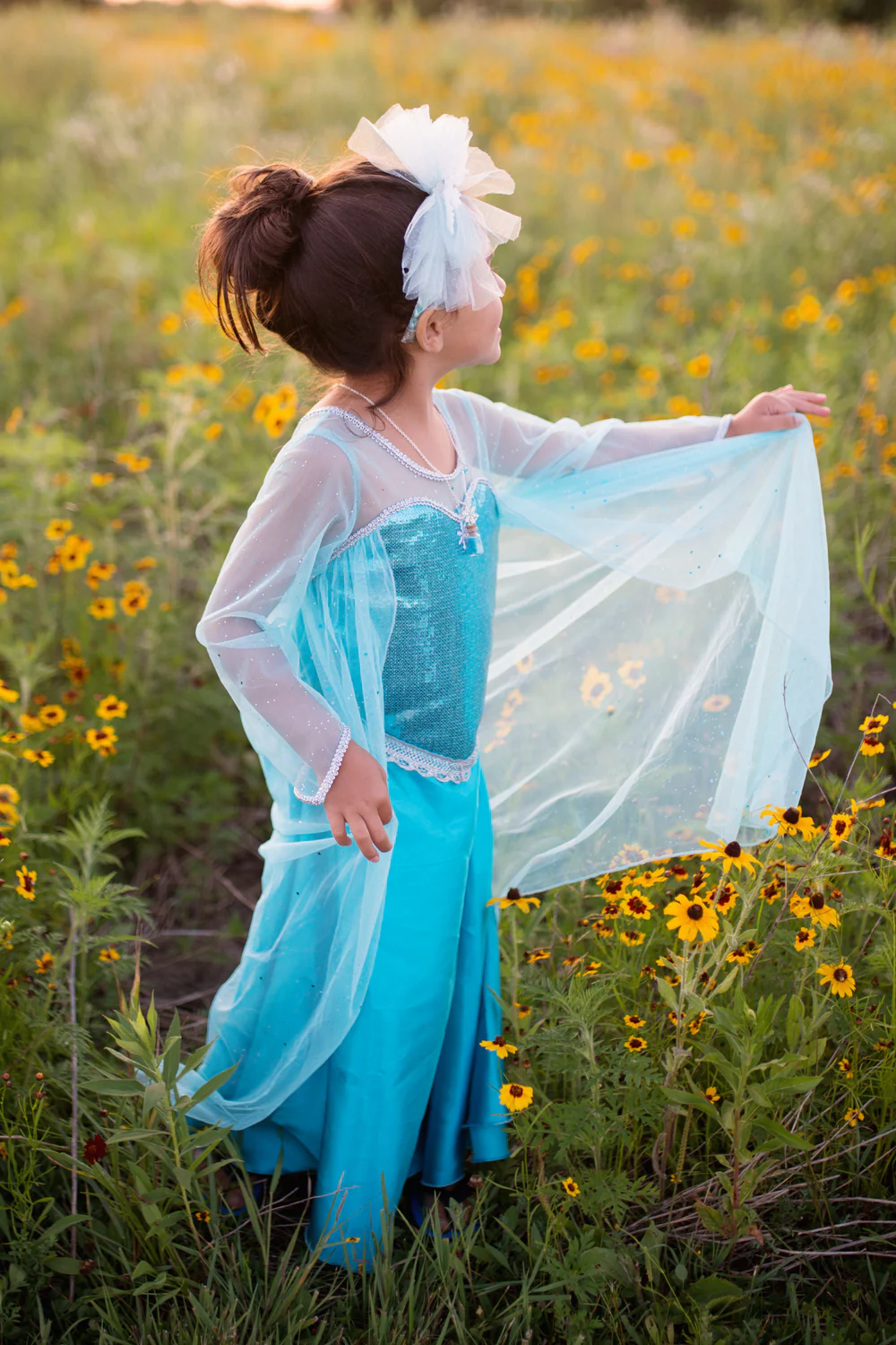 Ice crystal Queen 5-6 yrs