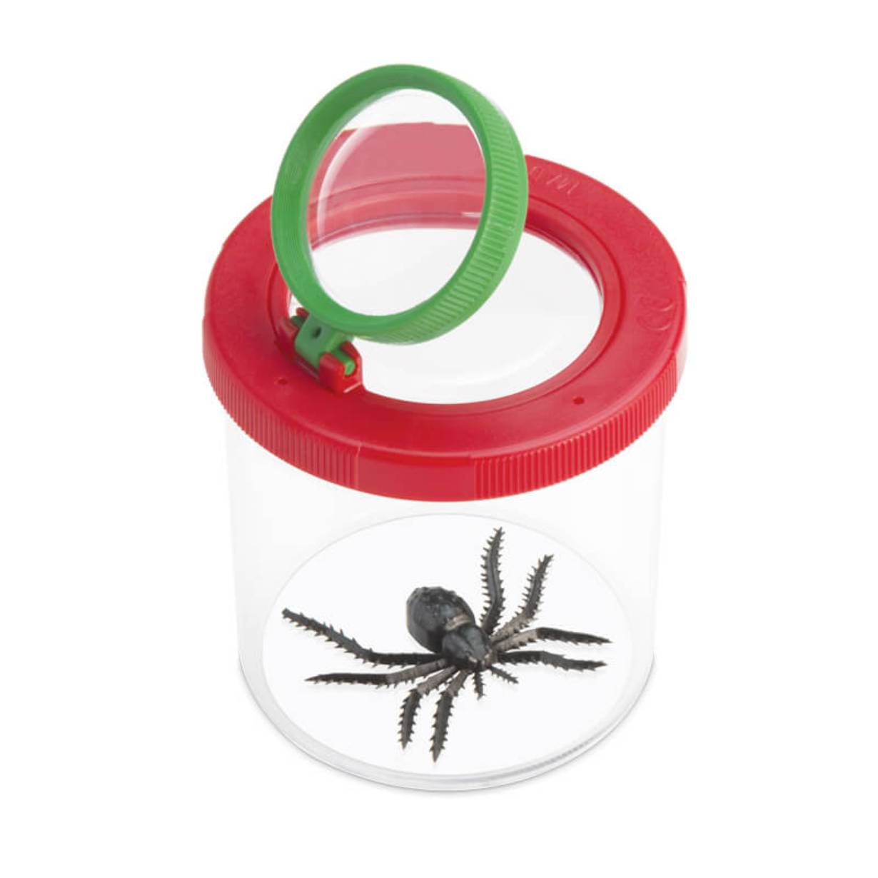 World’s Best Bug Viewer in Display 12 pcs