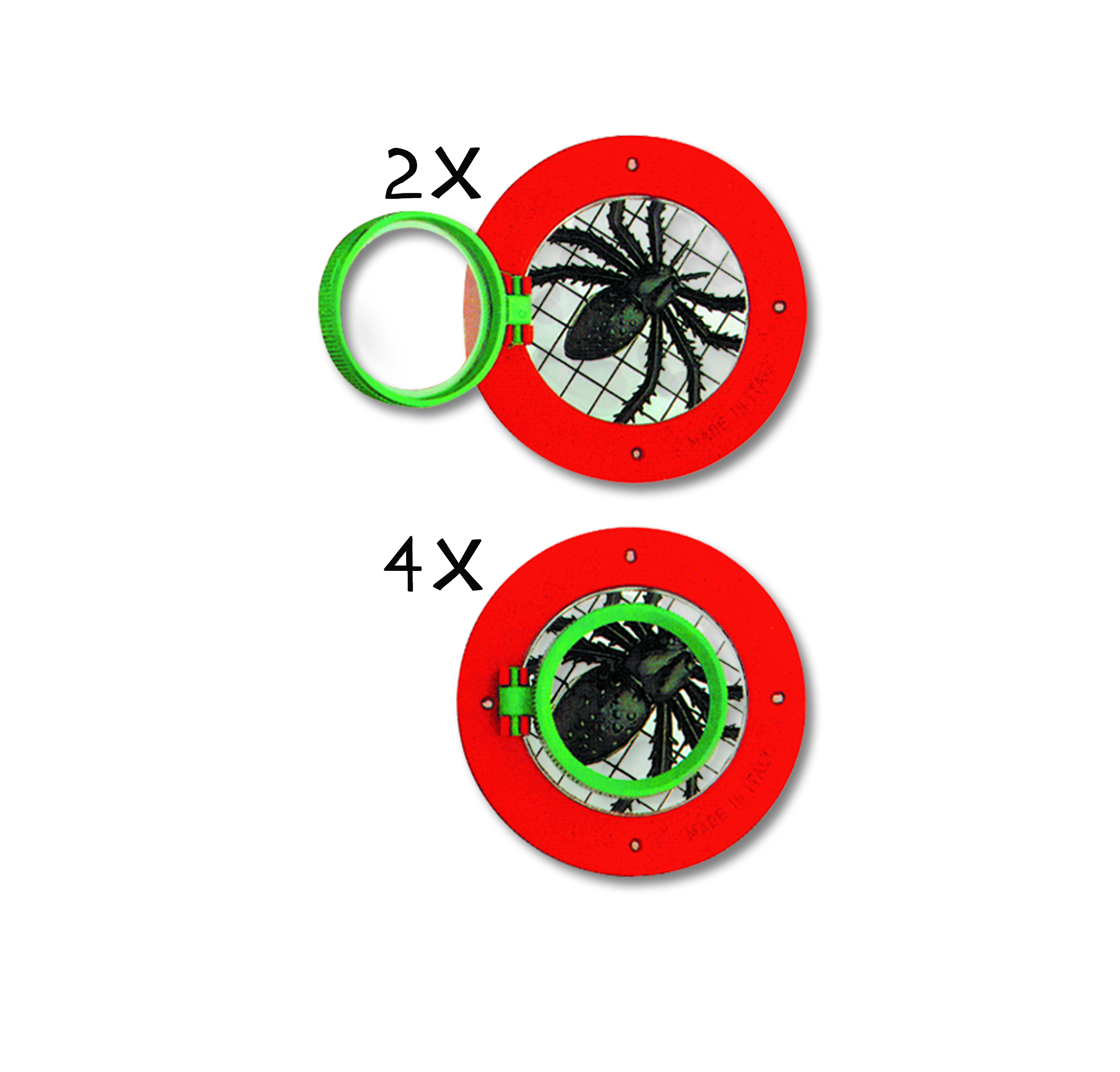 World’s Best Bug Viewer in Display 12 pcs