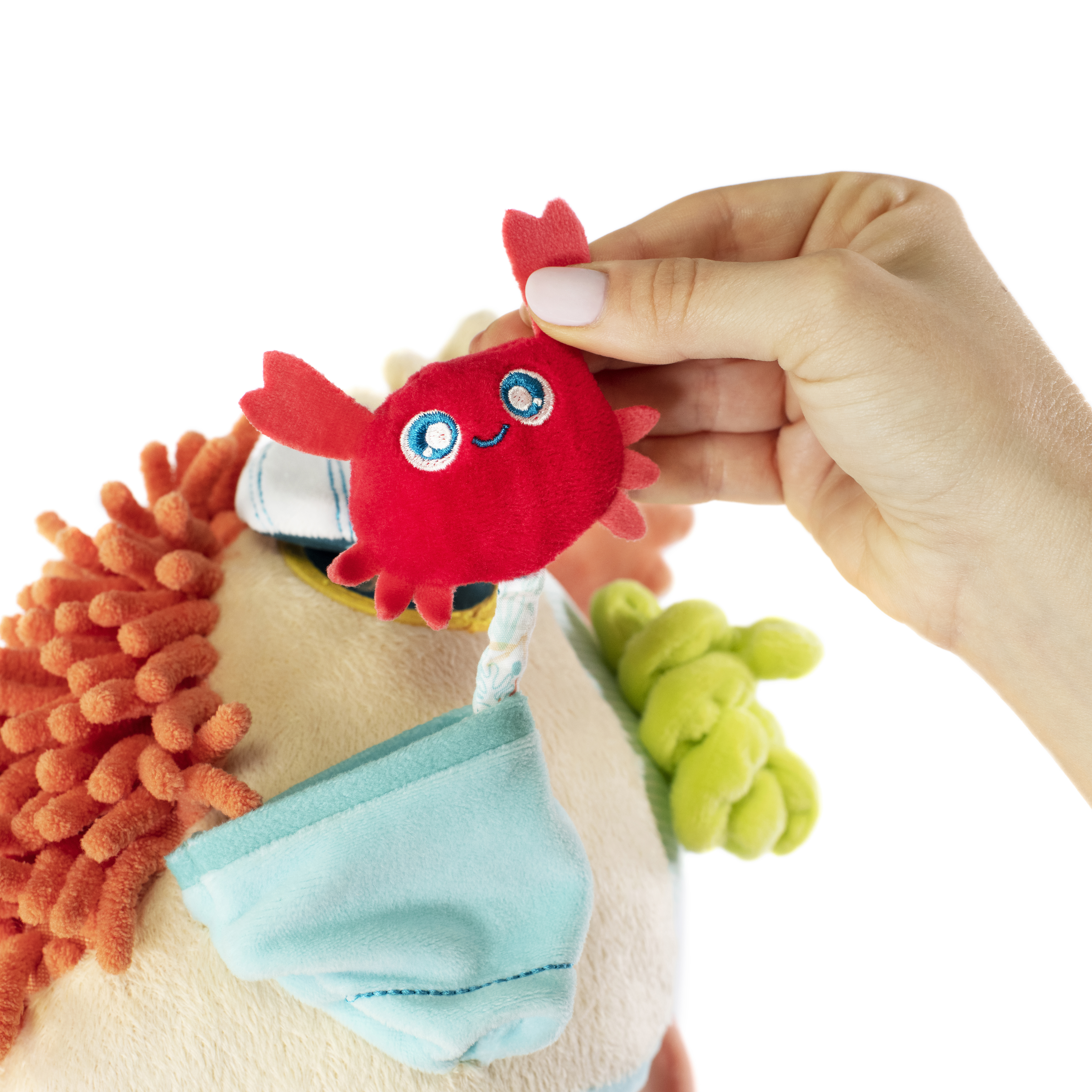SENSORIAL REEF