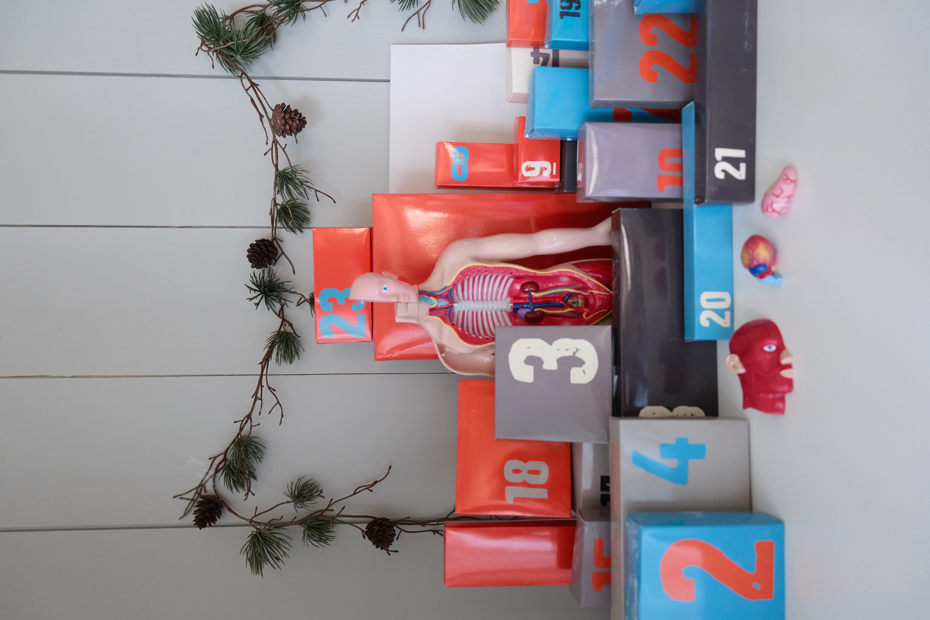 Countdown Calendar - Einstein Human Body Science Kit