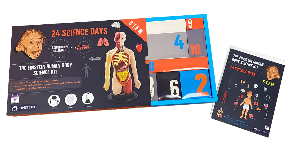 Countdown Calendar - Einstein Human Body Science Kit
