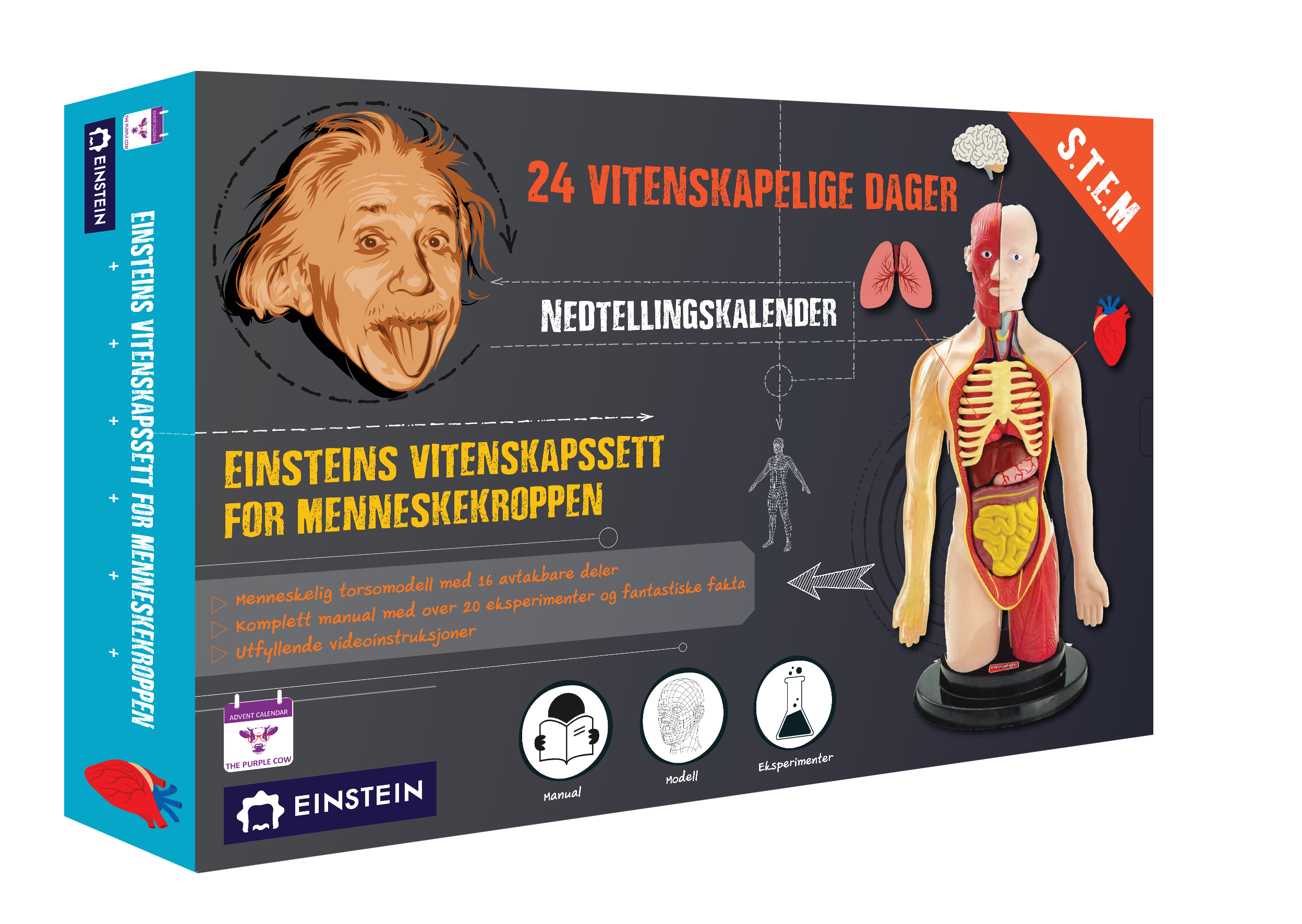 Countdown Calendar - Einstein Human Body Science Kit