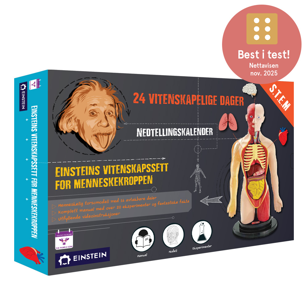 Countdown Calendar - Einstein Human Body Science Kit
