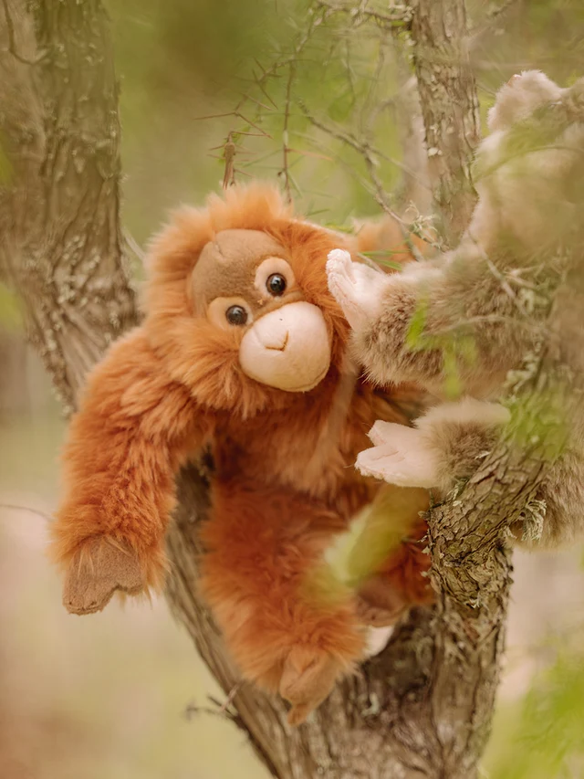 WWF Orangutan - 23 cm - 9