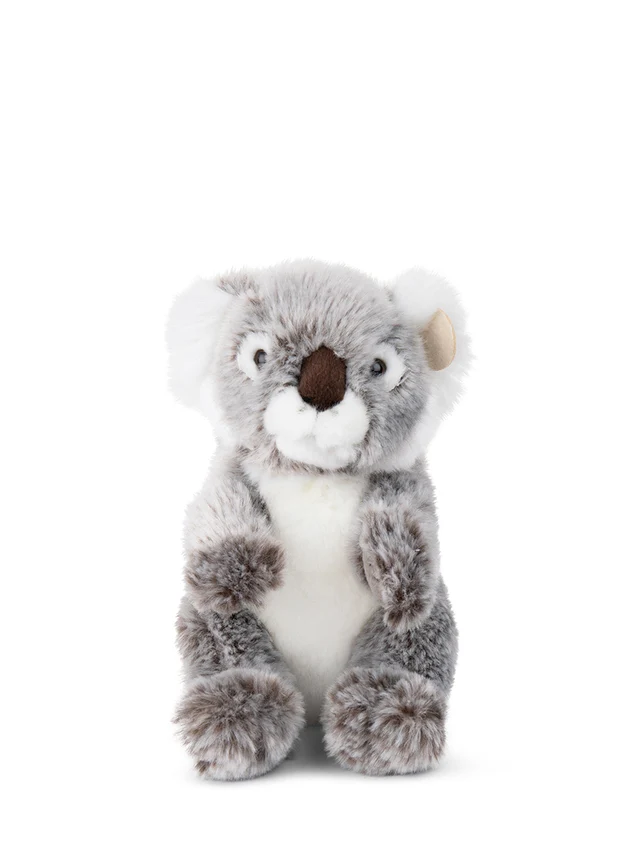 WWF Koala - 15 cm - 6