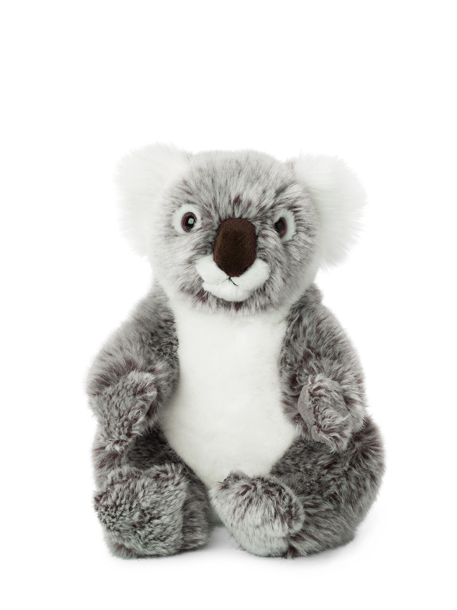 WWF ECO Koala - 22 cm - 8,5"