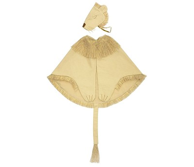 Lion Costume AW26