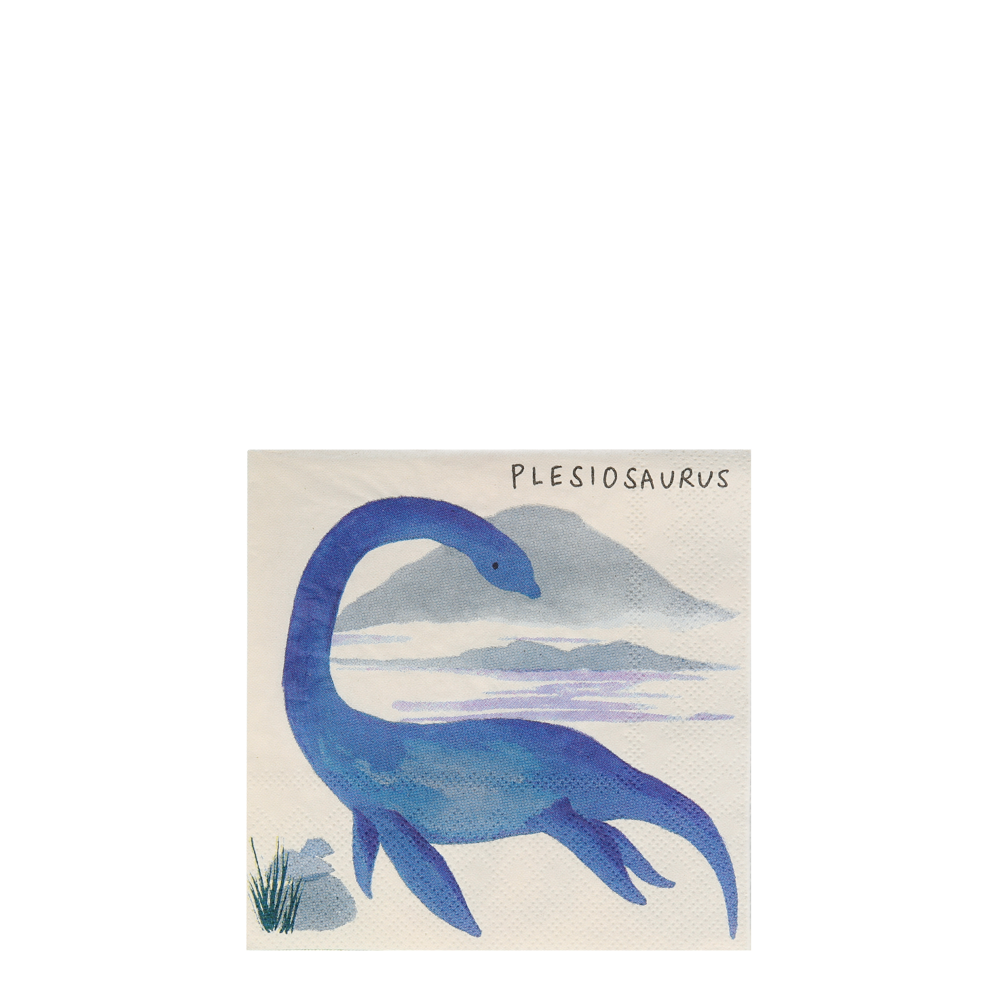 Dinosaur Kingdom Small Napkins - ED26