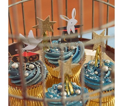 Magic Cupcake Kit - ED22