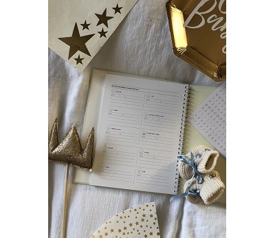 Bok: Babyjournalsen Små og store begivenheter