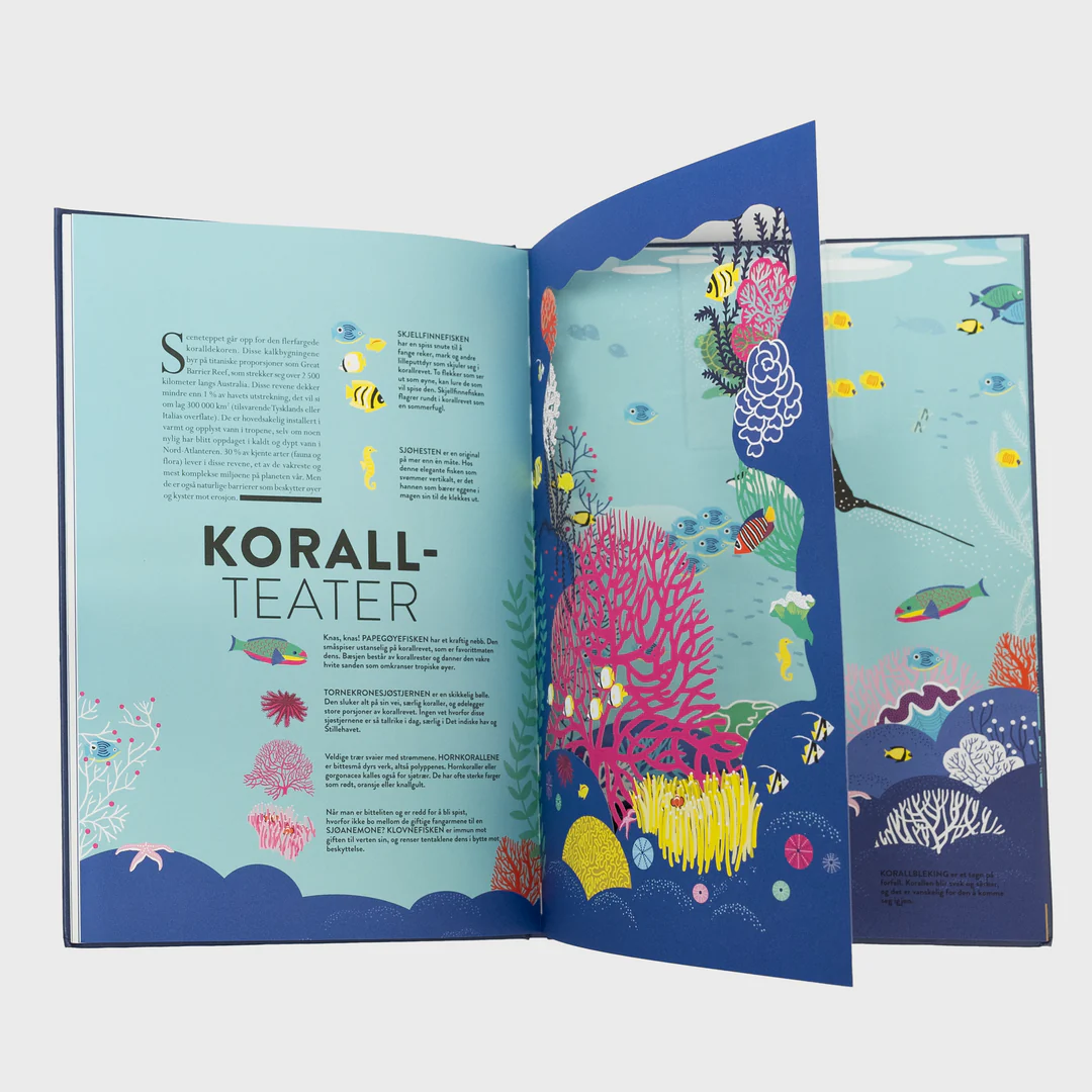 Faktabok: Havet