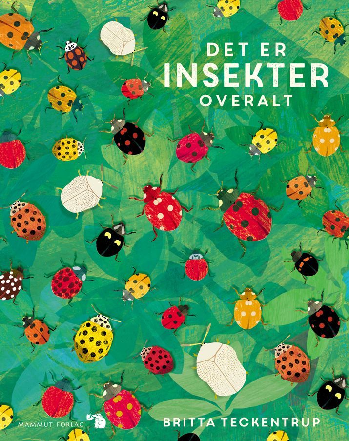 Faktabok: Det er insekter overalt