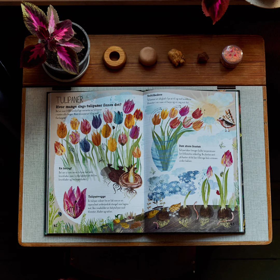 Faktabok: Den store boka om blomster